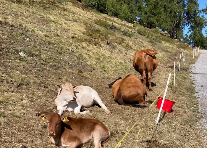Alpesi faház Waldesruh