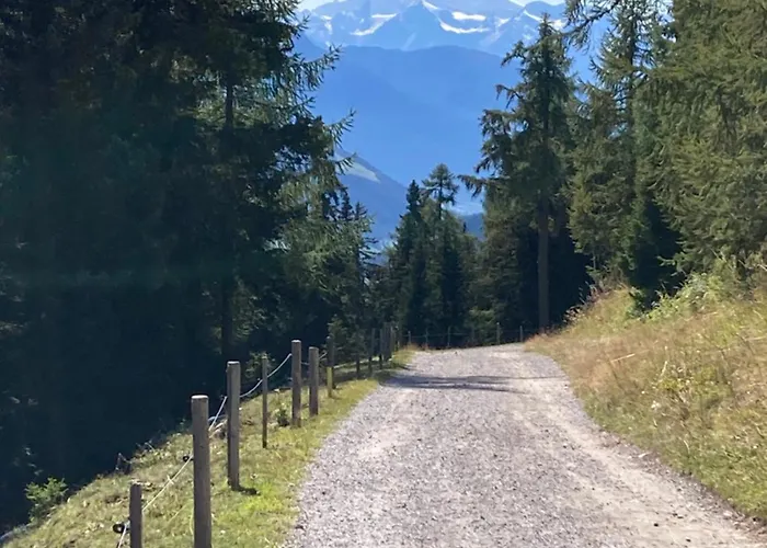 Waldesruh * Bellwald