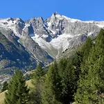 Chalet Waldesruh *